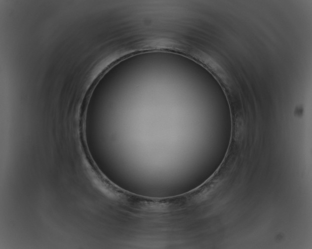X0000093561039200710221418