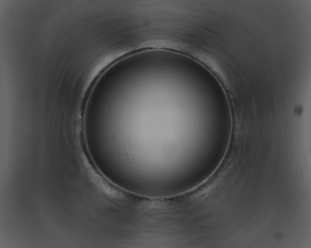 X0000093561040200710221418