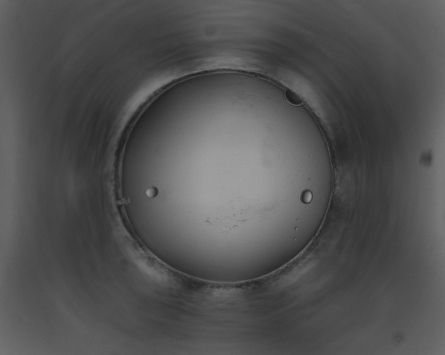 X0000093561043200710221418