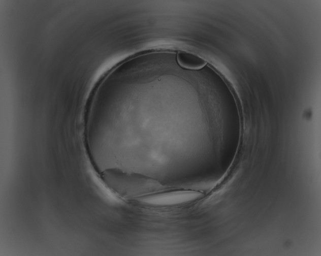 X0000093561045200710221418