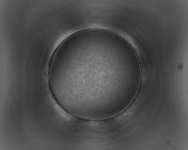 X0000093561048200710221418