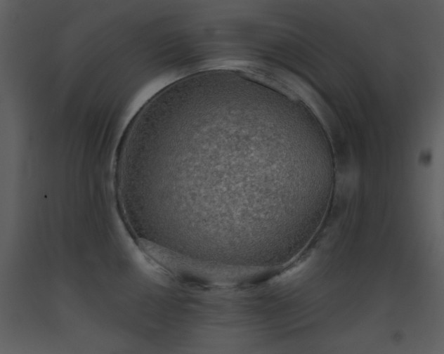 X0000093561050200710221418