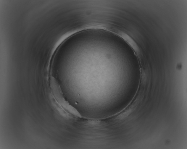 X0000093561052200710221418