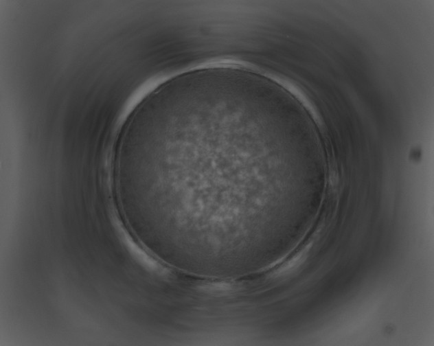 X0000093561054200710221419