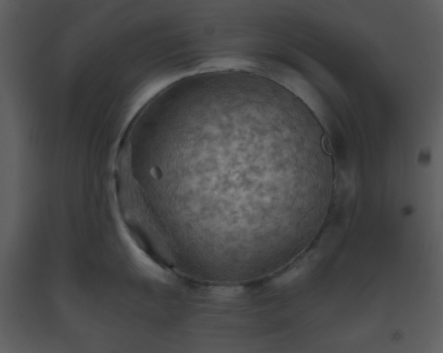X0000093561055200710221419