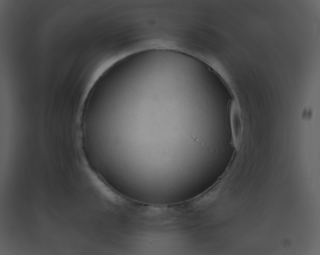 X0000093561056200710221419