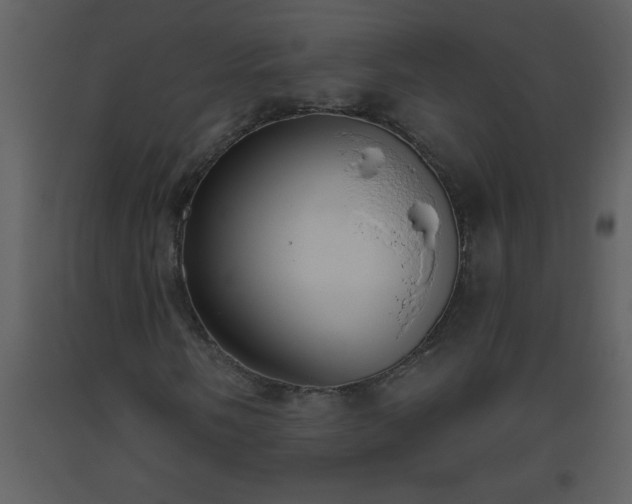 X0000093561058200710221418