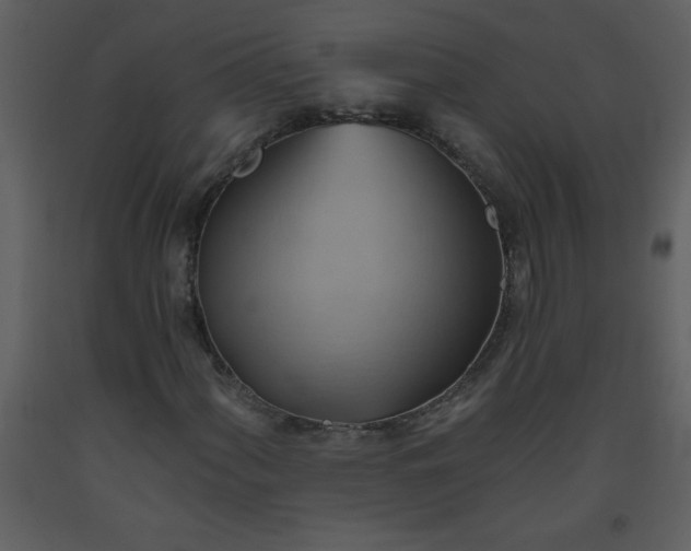 X0000093561060200710221418