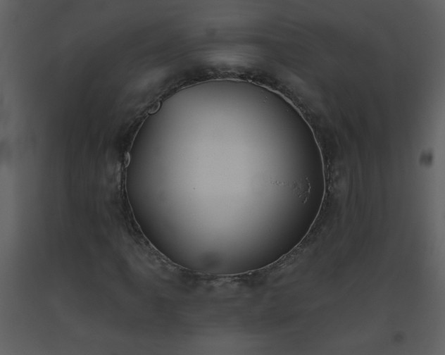 X0000093561061200710221418