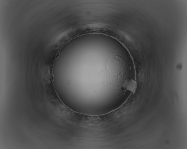 X0000093561062200710221418