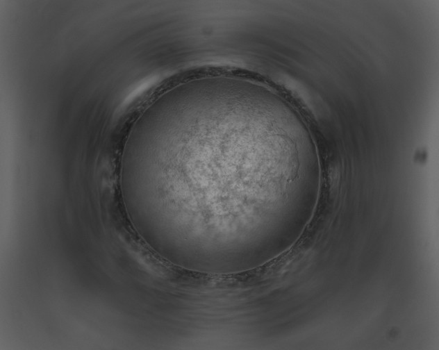 X0000093561064200710221418