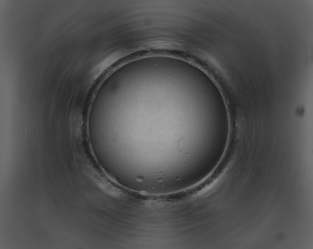 X0000093561065200710221418