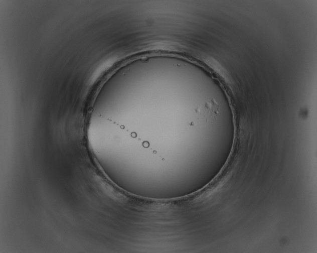 X0000093561067200710221418