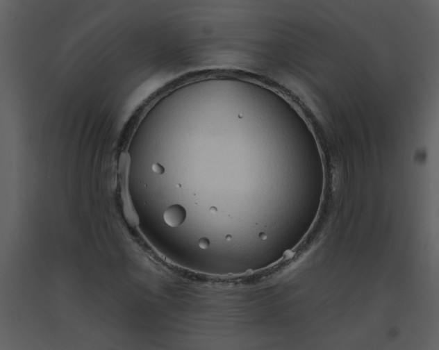 X0000093561069200710221418