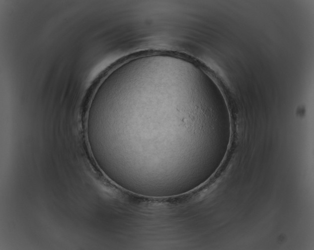 X0000093561070200710221418
