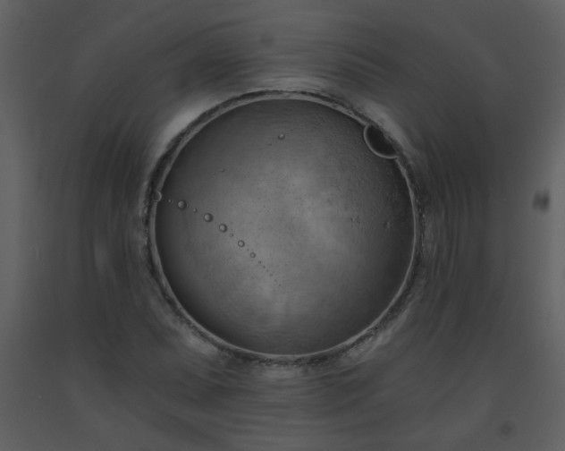 X0000093561071200710221418
