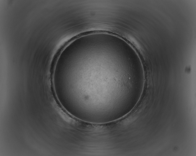 X0000093561072200710221418