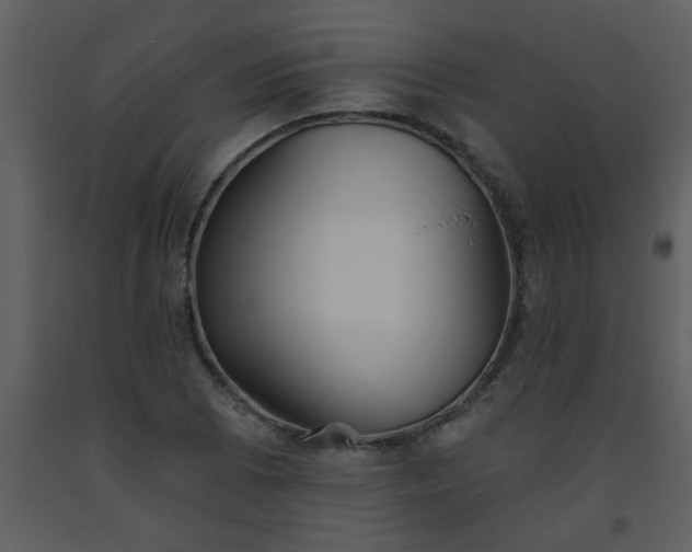 X0000093561073200710221418