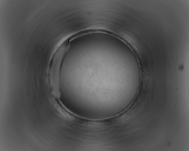 X0000093561076200710221418
