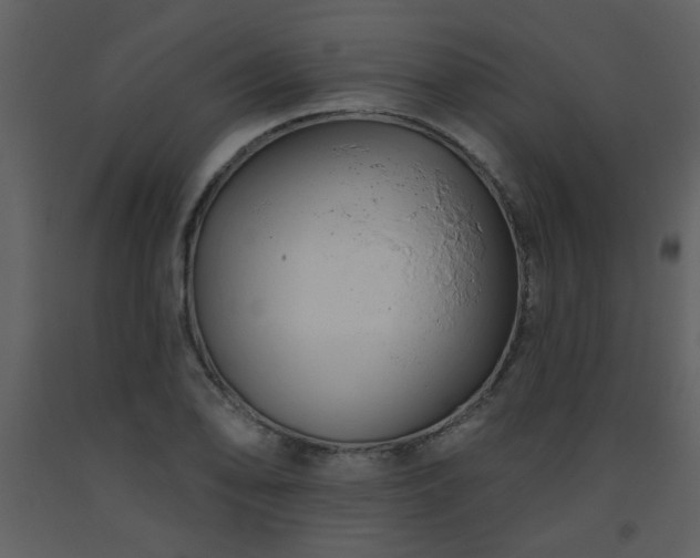 X0000093561078200710221418