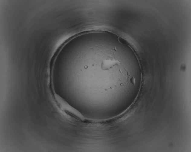 X0000093561079200710221418