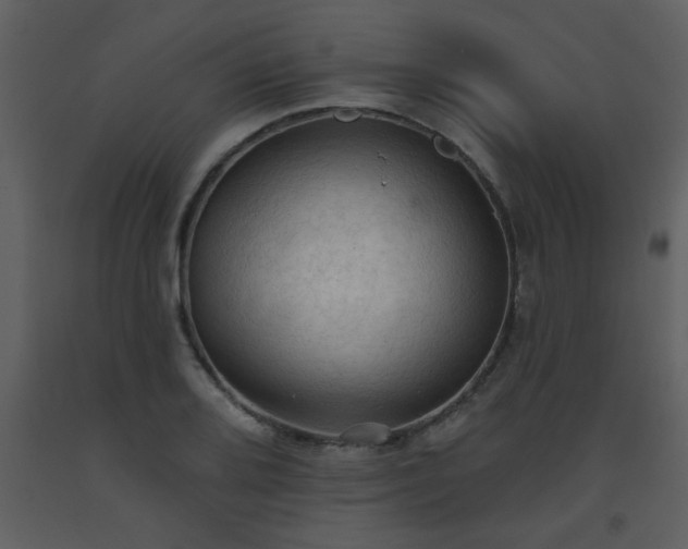 X0000093561080200710221418