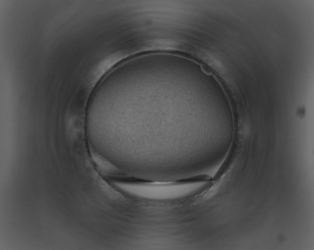 X0000093561081200710221418
