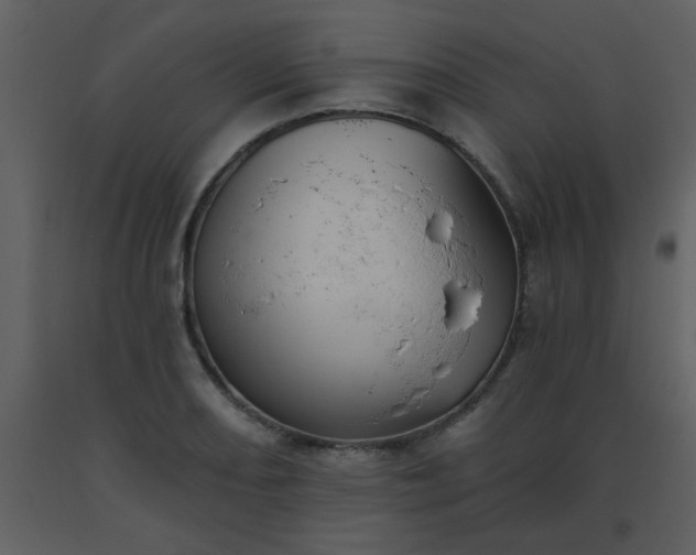X0000093561082200710221418