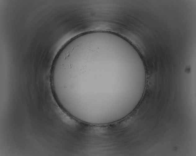 X0000093561086200710221418