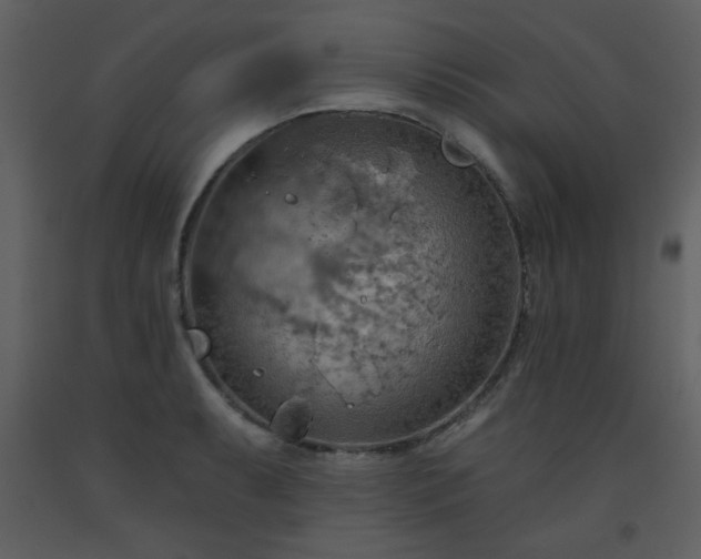X0000093561087200710221418