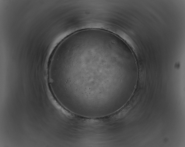X0000093561088200710221418