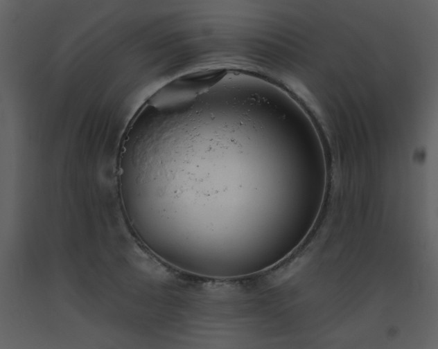 X0000093561089200710221418