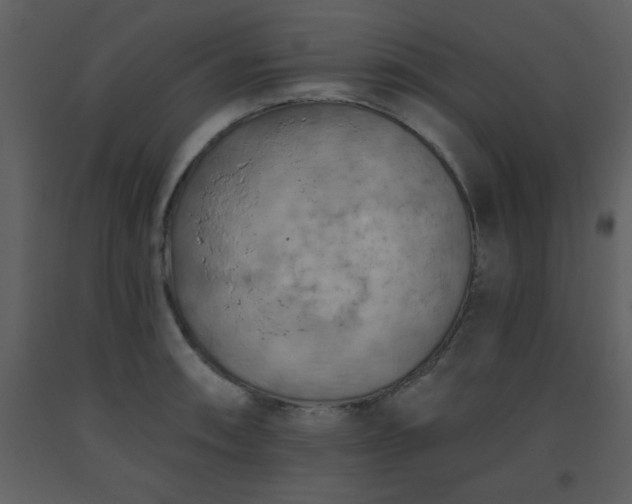 X0000093561090200710221418