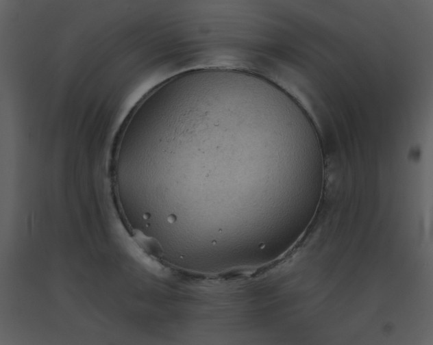X0000093561091200710221417