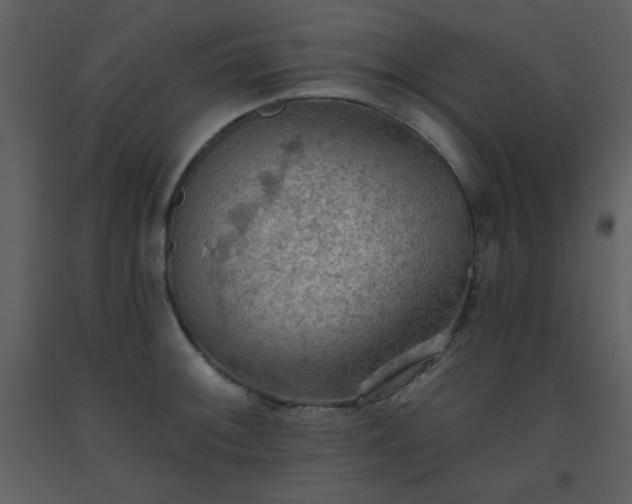 X0000093561092200710221417
