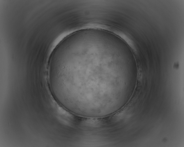 X0000093561094200710221417