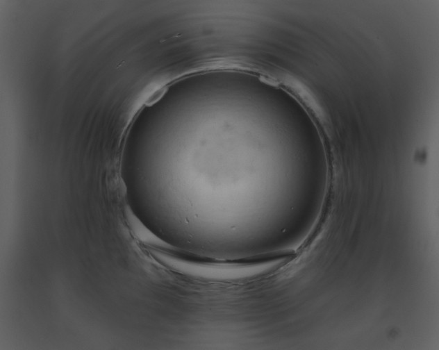 X0000093561097200710221417