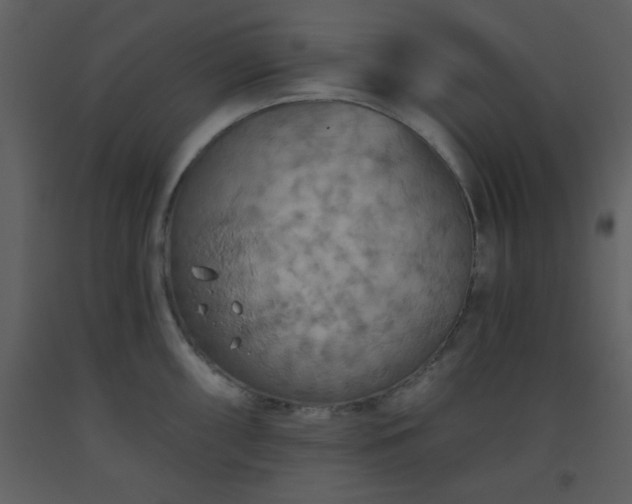 X0000093561098200710221417