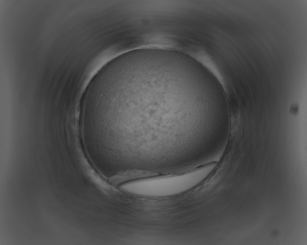 X0000093561099200710221417