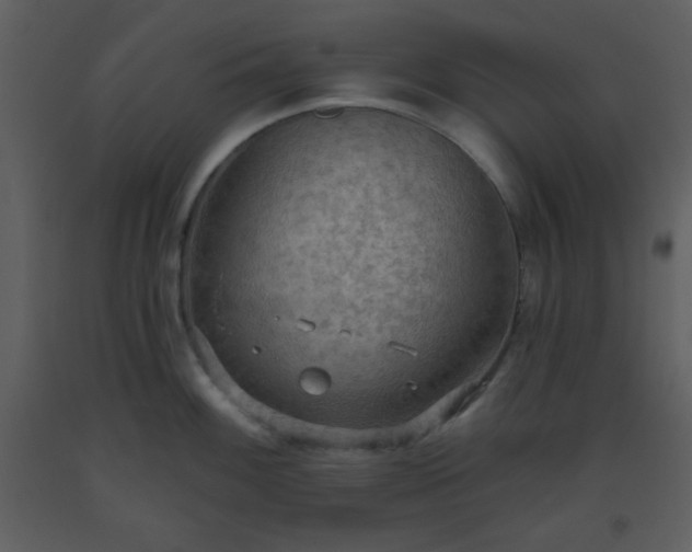 X0000093561100200710221417