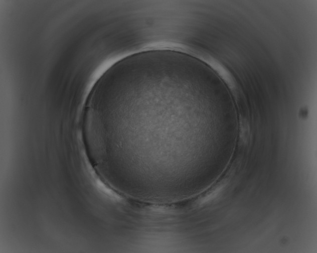 X0000093561102200710221417