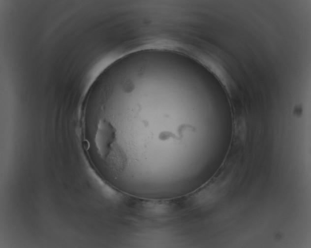 X0000093561103200710221417