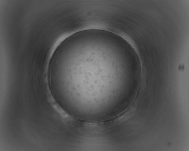 X0000093561104200710221417