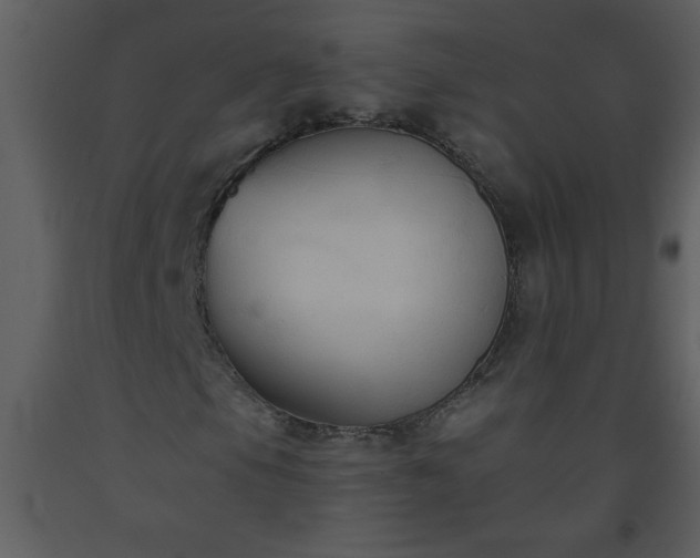 X0000093561105200710221417