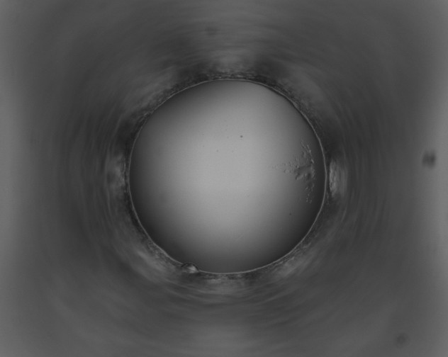 X0000093561107200710221417