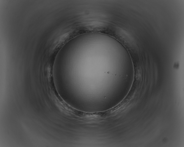 X0000093561108200710221417