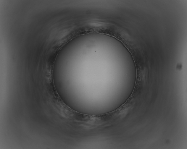 X0000093561109200710221417