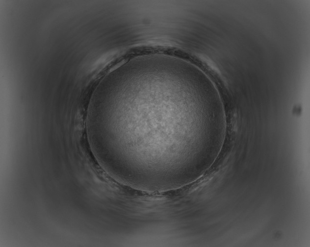 X0000093561110200710221417