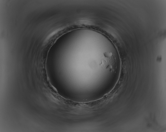 X0000093561112200710221417