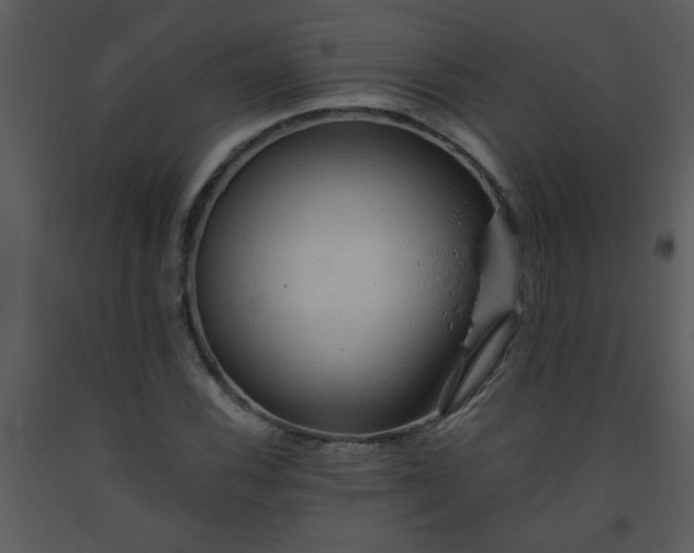 X0000093561116200710221417